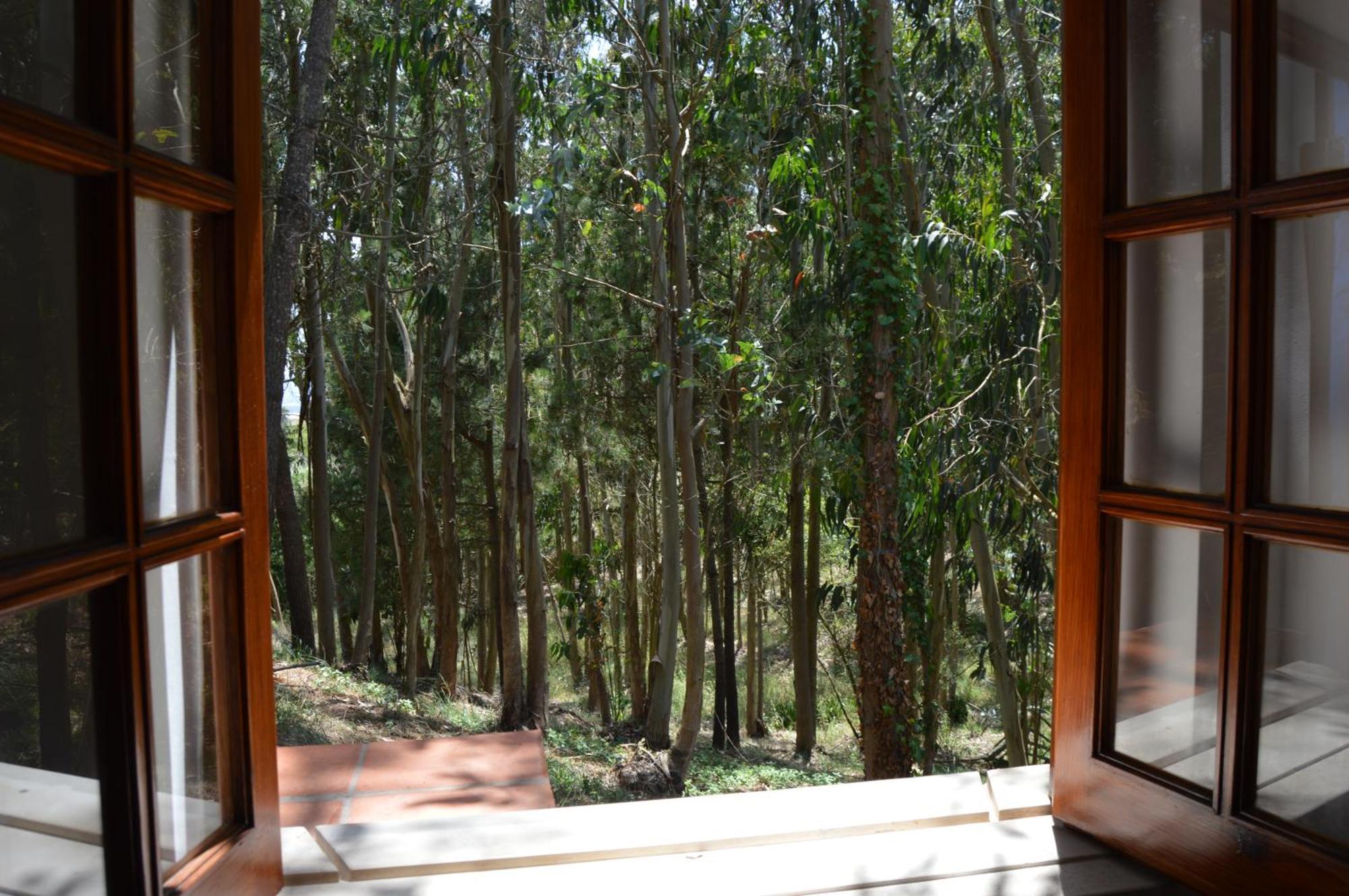 Quinta Dos Mangues Villa Sao Martinho do Porto Room photo